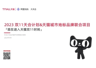 23年天猫双11地标联合项目招商方案