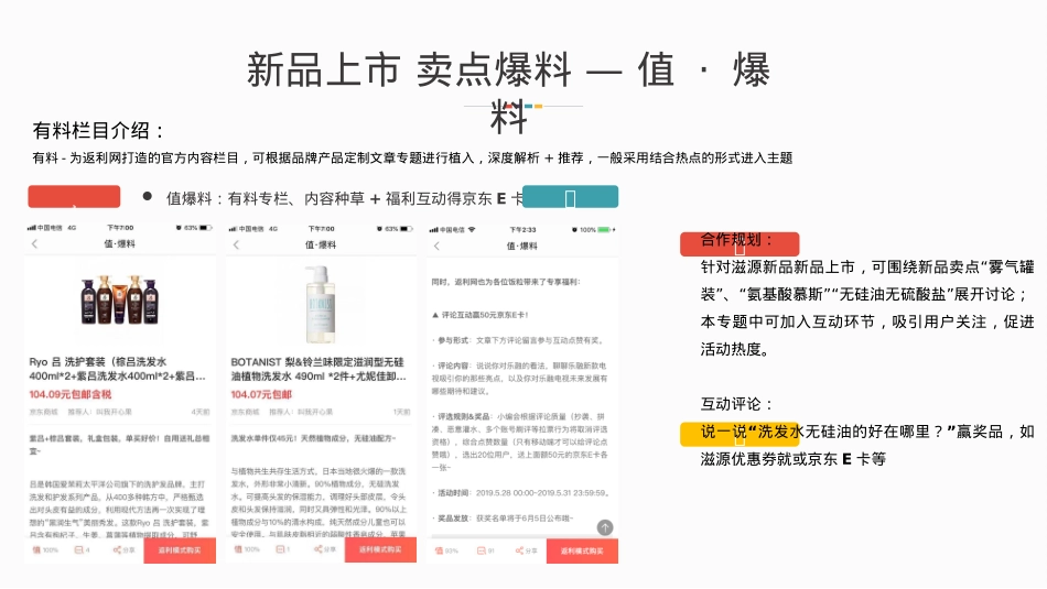 滋源X返利网营销合作方案_第5页