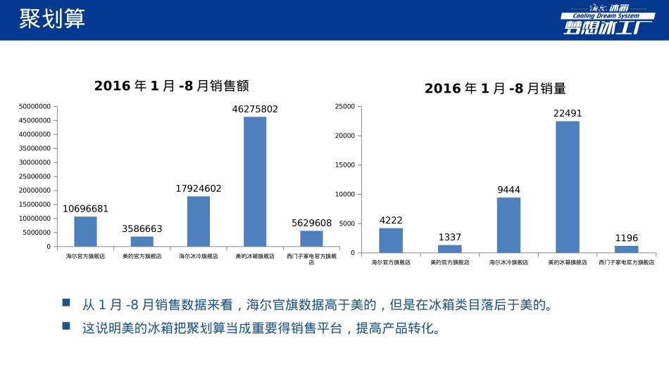 海尔冰箱天猫渠道运营诊断_第6页