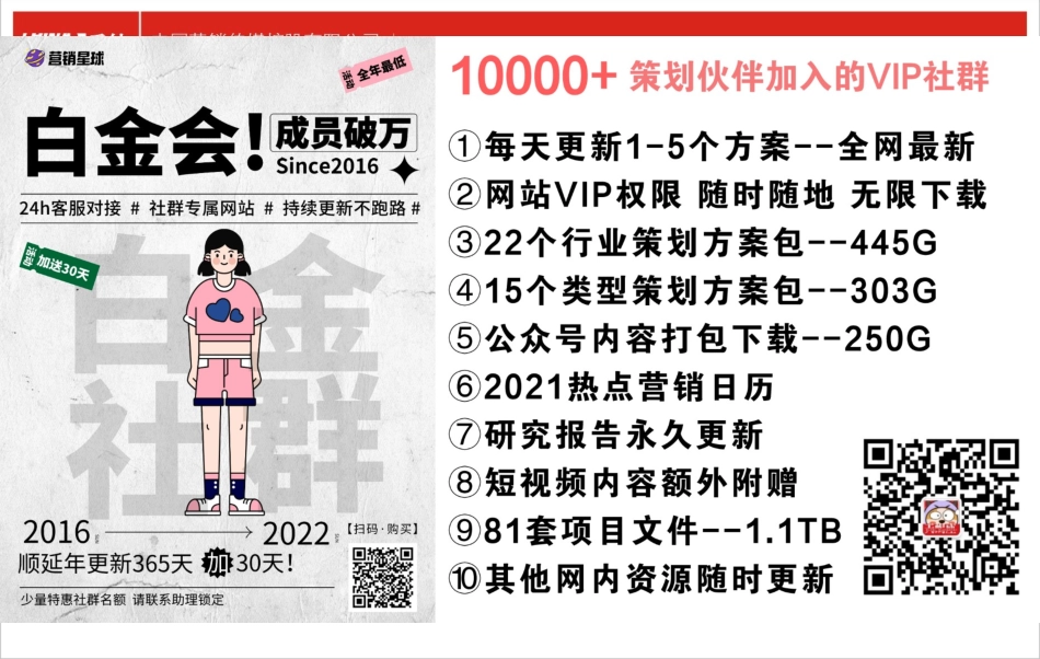 产品线组合策略_第9页