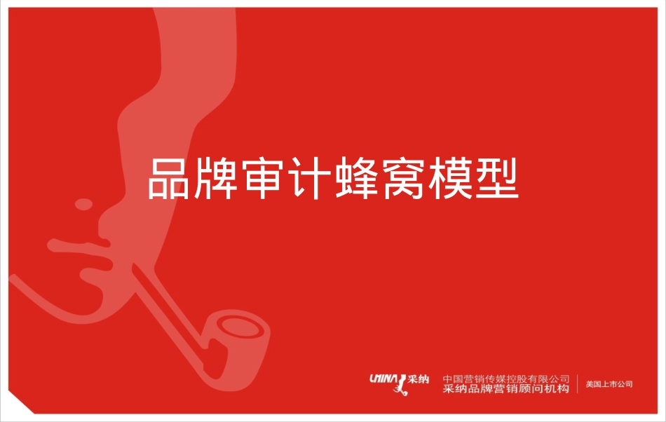 品牌审计蜂窝模型_第1页