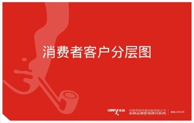 消费者客户分层图
