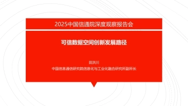 可信数据空间创新发展路径2025-中国信通院