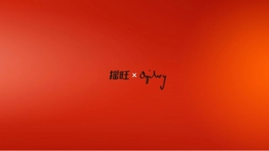 APP传播定位与创意提案149页