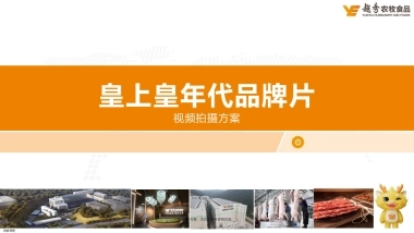 皇上皇年代品牌片春节TVC拍摄方案