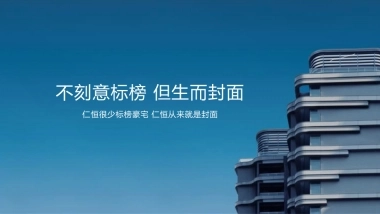 249页！城市豪宅项目故事构建提案