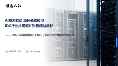 2025年数据中心（IDC）标杆企业组织效能报告-顺为人和