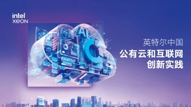 2025年英特尔中国公有云和互联网创新实践报告-英特尔