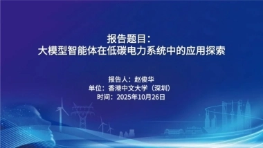 2025年大模型智能体在低碳电力系统中的应用探索报告-香港中文大学（赵俊华）