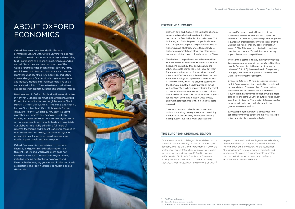 【牛津经济研究院】引爆点：对欧洲化工行业就业和增长的威胁（英）_第2页