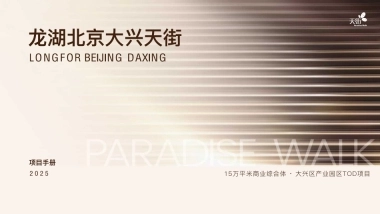 龙湖北京大兴天街项目手册