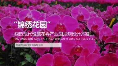 阎良现代设施花卉产业园规划设计方案