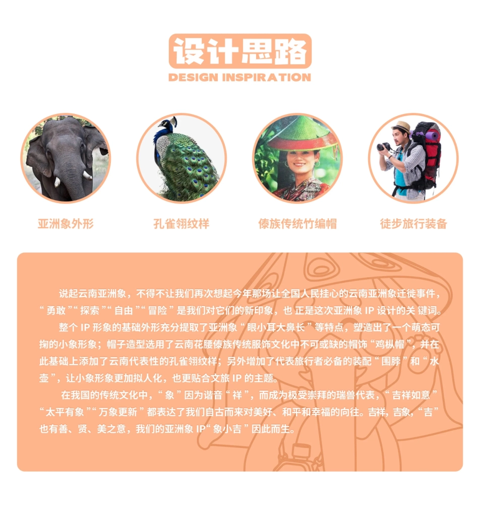 云南亚洲象文旅IP设计方案_第2页