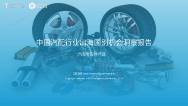 2025中国汽配行业出海国别机会洞察报告-亿欧智库&特易资讯