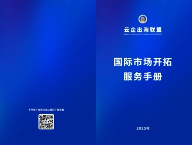 2025年国际市场开拓服务手册-云企出海联盟