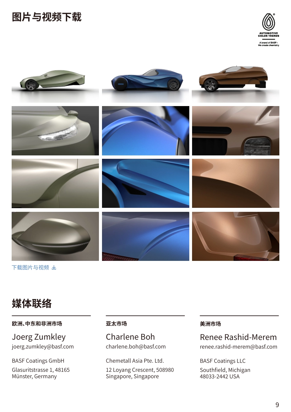 2025-2026汽车色彩趋势报告-驭动代理-巴斯夫_第9页
