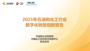 2025年石油和化工行业数字化转型指数报告-中信联&点亮智库