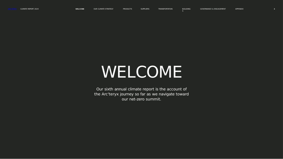 始祖鸟ppt_第3页