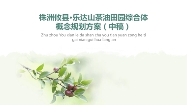 湖南攸县乐达山茶油田园综合体概念规划