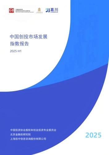2025年中国创投市场发展指数报告-投中嘉川.pdf