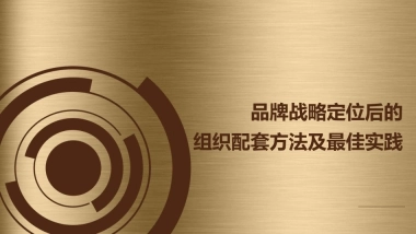 品牌战略定位后的组织配套方法及最佳实践.pdf