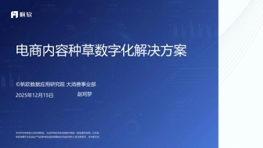 2025年电商内容种草数字化解决方案.pdf