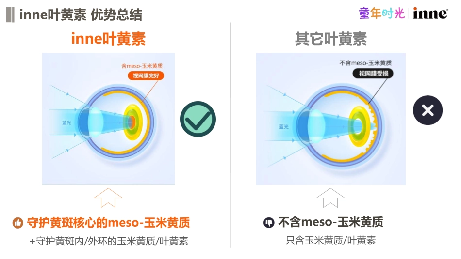 【抖音精简版】inne叶黄素Brief_第4页