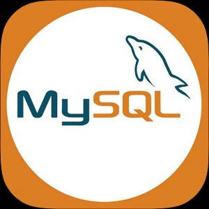 MySQL 8.0